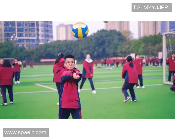羽毛球传奇陈敏的成长与奋斗之路深度对话